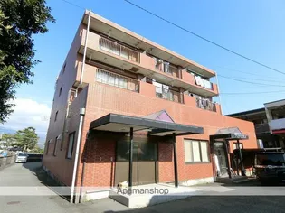 フェニックス殿岡の画像