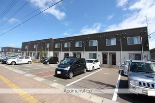 コスミオンの画像