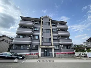 サンモデストの画像