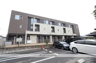 フェリチタ ナギの木の画像