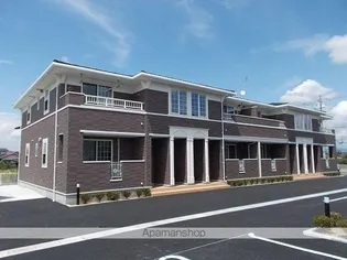 グレイスVの画像