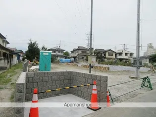 クリサンセマムの画像