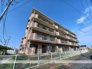 クレセントフジ Bの画像
