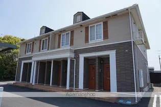 アンジェリカ Eの画像