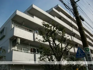 グリーンキャピタル川崎の画像