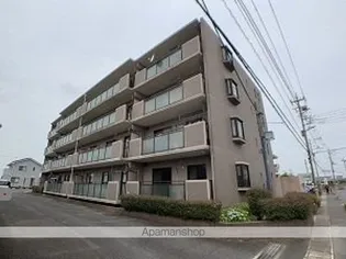 センチュリームラマツIの画像