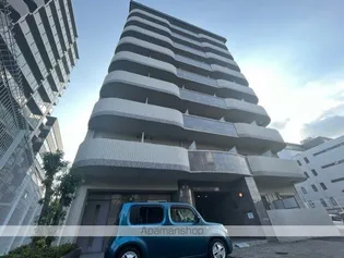 エリーフラッツ京町【8階】の外観