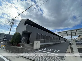 グレース川八の画像