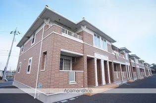 サニープラシードIの画像