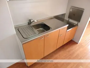 ロビンストリーム【205号室】のキッチン