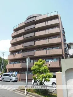 ウィルグレース八千代の画像