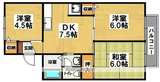 セジュール百舌鳥【203号室】の間取り
