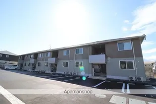 ローマンカモミールの画像