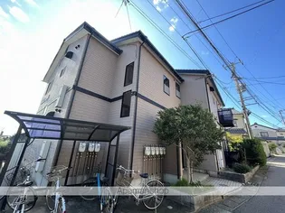 アンジェリックの画像