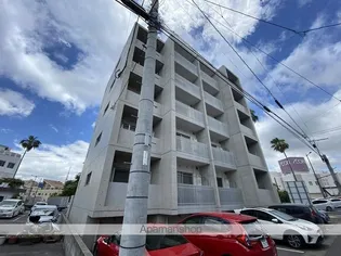SOUTH RAINBOWの画像