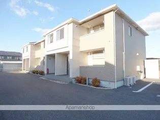 プリムローズの画像