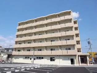 プラトゥー光の森の画像