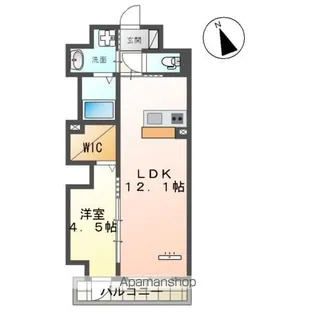 TIARA本町【7階】の間取り