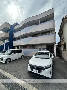 シーグレイスの画像