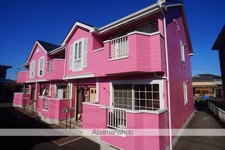 ルピナスBの画像