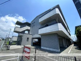 M シュルプリーズ ドゥの画像