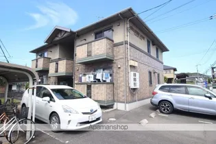 ウィルモアイノウエの画像