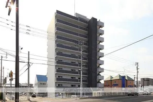 ADENIUM FORESTの画像