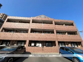 シェレン バウム Fの画像