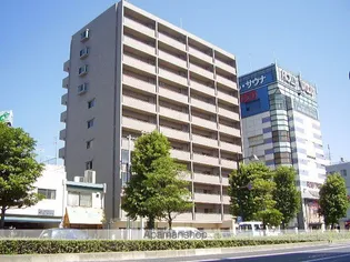 岡山県岡山市北区中央町【マンション】の外観