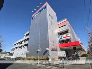 BEVERLY HOMES 下赤塚【3階】の周辺