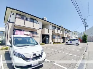 ポム コリーヌの画像