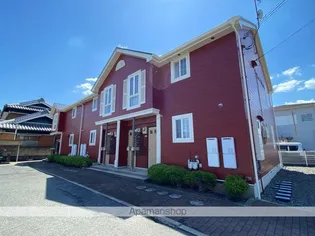 パインツリーの画像