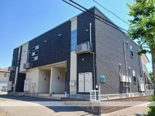 グレイス ヒルの画像