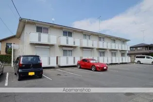 ルシールマミの画像