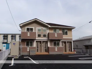 プラシード Sの画像