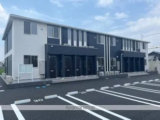 グレイスBの画像