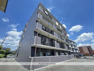 マーベラスの画像