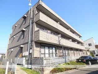 プレミエ ステラの画像