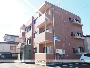 シャングリラなかやしきの画像