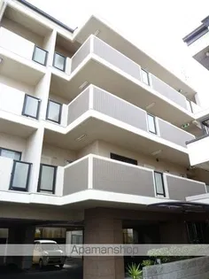 シャルマン錦の画像