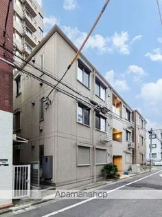 ステラカーサの画像