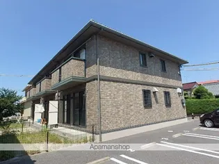 エバーグリーンの画像