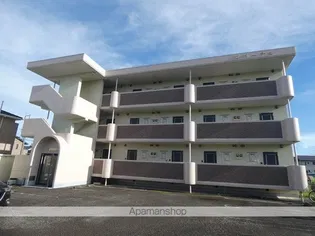 ビバーチェIの画像