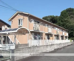 タウニィサンハニーの画像