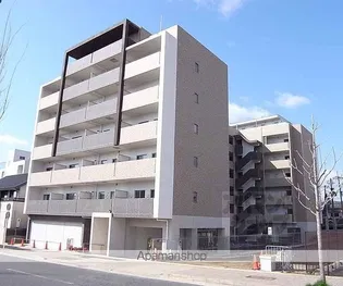 SHAMAISON JJの画像