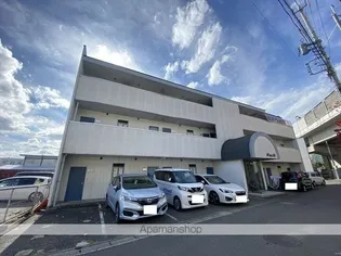 ピュア37の画像