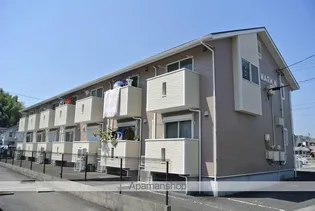 WARM Nの画像