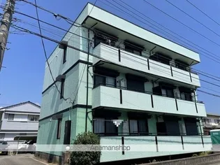 ハイカムールNの画像