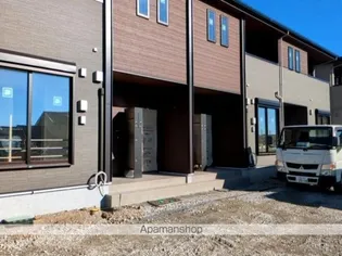 マーガレット ノアIIの画像