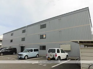 ドルシスⅡの画像